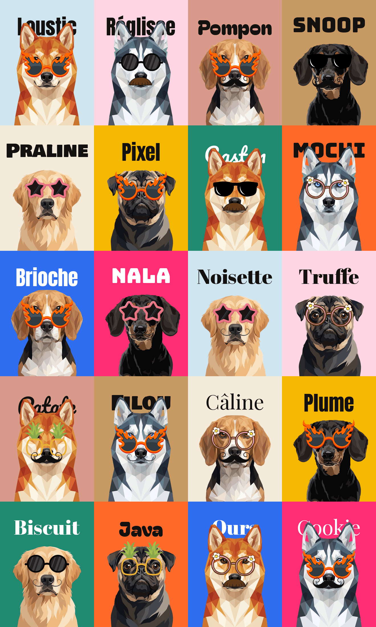 Animaux illustrés