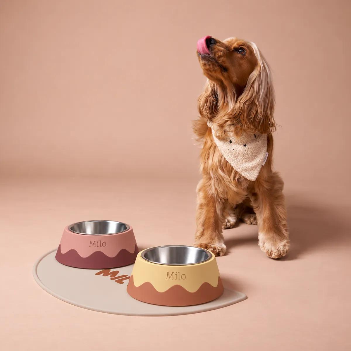 Deux gamelles gravées au prénom Milo devant un cocker